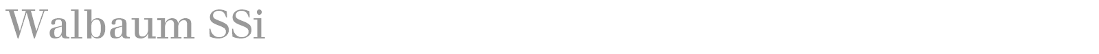 Walbaum SSi font preview